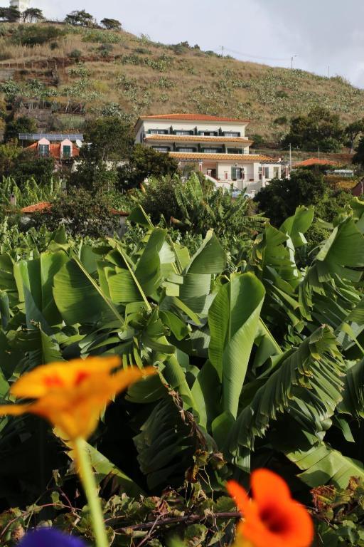 Vila Marta Aparthotel Funchal  Exterior photo